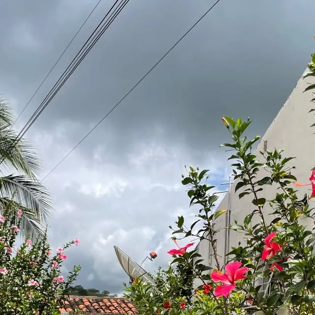 Céu de chuva sobre telhados, com hibiscos em flor.